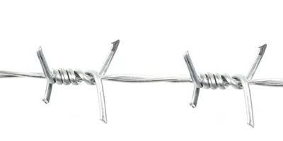 1.4mm-2.6mm Крестный бритвенник оцинкованный колючая проволока Ферма забор 500M 20Kg на рулон Бритвенник Тип проволока калибр 1.4mm-2.6mm