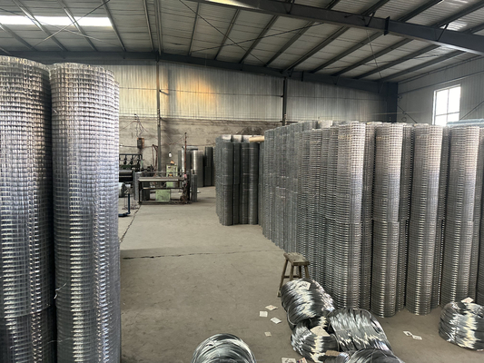 Стандартные спецификации Twill Weave JHT Bird Cage Galvanized Welded Steel Wire Mesh Roll для удовлетворения требований клиентов