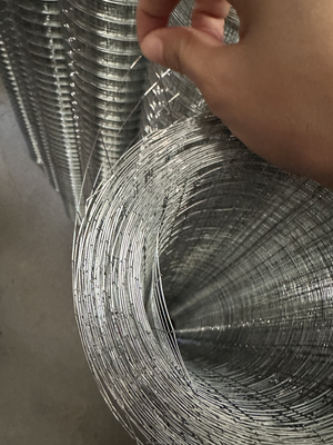 Стандартные спецификации Twill Weave JHT Bird Cage Galvanized Welded Steel Wire Mesh Roll для удовлетворения требований клиентов