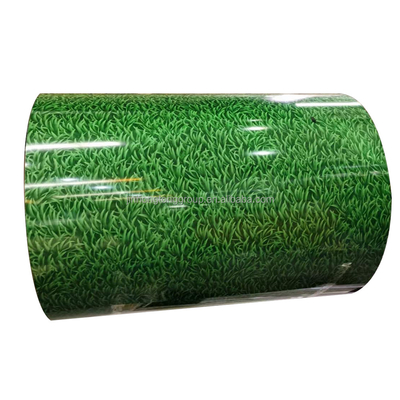 Ppgi Gi Steel Coil For Malaysia Ral 9006 Предварительно окрашенная стальная катушка с режущим сервисом